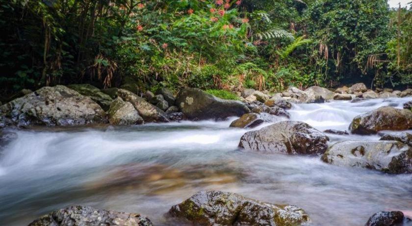 Jimmers Mountain Resort Puncak Εξωτερικό φωτογραφία